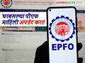 EPFO Update : आता घरबसल्या EPFO ​​मध्ये वैयक्तिक अपडेट करा, जाणून घ्या सविस्तर  - Marathi News | Latest News EPFO Online Update Now update your personal information in EPFO ​​from home, know the details | Latest agriculture News at Lokmat.com