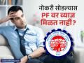 नोकरी गेल्यानंतर पीएफमधील पैशांवर व्याज मिळते? काय आहे ईपीएफओचे नियम? - Marathi News | Your PF Account Still Earns Interest After Job Loss: Here's What EPFO Rules Say | Latest business News at Lokmat.com