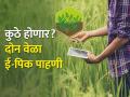 ११४ गावांमध्ये होणार दोन वेळा ई-पीक पाहणी - Marathi News | Two times e-peak pahani crop inspection will be done in 114 villages | Latest agriculture News at Lokmat.com