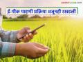 E-Pik Pahani : ई-पीक पाहणीतील अडचणी संपता संपेना; शेतकऱ्यांची मदत अजूनही अधांतरी - Marathi News | latest news E-Pik Pahani: Problems in e-Pik survey are not over; Farmers' help is still incomplete | Latest agriculture News at Lokmat.com