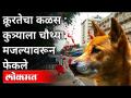 कुत्र्याला चौथ्या मजल्यावरून का फेकले? Dog Thrown From The Fourth Floor In Pune | Maharashtra News - Marathi News | Why was the dog thrown from the fourth floor? Dog Thrown From The Fourth Floor In Pune | Maharashtra News | Latest maharashtra Videos at Lokmat.com