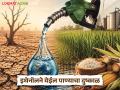 इथेनॉल निर्मितीमुळे येऊ शकतो दुष्काळ; वाचा १ लिटर इथेनॉल बनविण्यासाठी लागतंय किती पाणी? - Marathi News | Ethanol production can cause drought; Read: How much water is needed to make 1 liter of ethanol? | Latest agriculture News at Lokmat.com