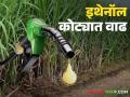 साखर उद्योगासाठी यंदा ६५० कोटी लिटर इथेनॉलचा कोटा देण्याचा निणर्य; शेतकऱ्यांना कसा होणार फायदा? - Marathi News | Decision to provide 650 crore liters of ethanol quota for sugar industry this year; How will farmers benefit? | Latest agriculture News at Lokmat.com
