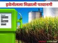 Ethanol Production : उसाचा रस, मोलॅसिसपासून इथेनॉल निर्मितीस परवानगी - Marathi News | Ethanol Production: Allowed for ethanol production from sugarcane juice, molasses | Latest agriculture News at Lokmat.com