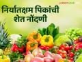 Export vegetable, fruits : शेतकऱ्यांनो! फळे, भाजीपाला निर्यातीसाठी नोंदणी केली का? इथं करा नोंदणी - Marathi News | Latest News Farmers register exportable fruit and vegetable on Hortinet system see details | Latest agriculture News at Lokmat.com