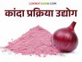 Onion Processing : कांदा प्रक्रिया उद्योग देईल साथ; मंदीच्या काळात देखील होणार उत्पन्नात वाढ - Marathi News | | Latest agriculture News at Lokmat.com
