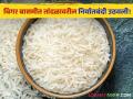 Rice Export : केवळ बासमतीच नव्हे, इतर तांदुळही करता येणार निर्यात; निर्यातीवरील निर्बंध हटवले - Marathi News | remove Rice Export Ban Not only basmati, other rice can also be exported Export restrictions removed | Latest agriculture News at Lokmat.com