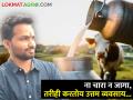 ना घरचा चारा ना जागा, तरीही हा तरुण दुध व्यवसायातून करतोय अशी कमाई.. - Marathi News | No fodder and no place for the house, still this young man is earning from milk business.. | Latest agriculture News at Lokmat.com