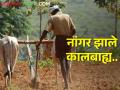 बैलजोडीवरील नांगर झाले कालबाह्य..! - Marathi News | The plow on the bullock pair has expired..! | Latest agriculture News at Lokmat.com