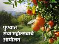 Orange Festival : पुणेकरांसाठी खूशखबर! कोथरूडला भरणार संत्रा महोत्सव; थेट शेतकऱ्यांकडून करा खरेदी - Marathi News | Orange Festival: Good news for Pune residents! Orange Festival to be held in Kothrud; Buy directly from farmers | Latest agriculture News at Lokmat.com