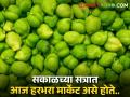 वाशिममध्ये १५४०, जळगावात १३०० क्विंटल हरभऱ्याची आवक, मिळतोय असा बाजारभाव - Marathi News | 1540 quintal in Washim and 1300 quintal chick pea in Jalgaon, what is market rate? | Latest agriculture News at Lokmat.com