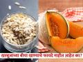 खरबूजाच्या बियांचे फायदे वाचाल तर कधी फेकणार नाही, दूर होतील अनेक समस्या - Marathi News | Muskmelon Seeds Benefits for lungs, kidneys, heart and cancer prevention | Latest health News at Lokmat.com