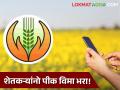 Rabi Crop Insurance : शेतकऱ्यांनो, रब्बी पीक विमा भरा! शेवटचे काही दिवस राहिलेत शिल्लक  - Marathi News | Rabi Crop Insurance Farmers pay Rabi Crop Insurance The last few days are left  | Latest agriculture News at Lokmat.com