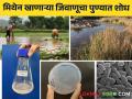 पुण्यातील महिला शास्त्रज्ञाने लावला मिथेन खाणाऱ्या जिवाणूचा शोध - Marathi News | Methane eating bacterium discovered by women scientists monali rahalkar Pune; Which can increase the production of paddy by 30 percent | Latest agriculture News at Lokmat.com