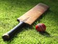 क्रिकेटच्या वादातून शाळकरी मुलाचा मृत्यू - Marathi News | Boy dies in cricket dispute | Latest raigad News at Lokmat.com