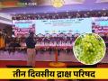 Grapes Conference : द्राक्ष बागायतदार संघाची आजपासून तीन दिवस 'द्राक्ष परिषद' - Marathi News | Grapes Conference 'Draksha Parishad' for three days from today. | Latest agriculture News at Lokmat.com
