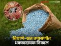 Fake Fertilizer : बियाणे-खतांचे नमुने नापास; अप्रमाणित बियाण्यांवर कारवाई, शेतकऱ्यांना दिलासा वाचा सविस्तर - Marathi News | latest news Fake Fertilizer: Seed-fertilizer samples fail; Action taken against uncertified seeds, relief to farmers Read in detail | Latest agriculture News at Lokmat.com