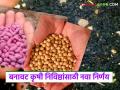 बनावट खते, बी-बियाणे व औषधे कारवाईसाठी कृषी विभागाने घेतला हा मोठा निर्णय; वाचा सविस्तर - Marathi News | Agriculture Department takes big decision to crack down on fake fertilizers, seeds and pesticides; Read in detail | Latest agriculture News at Lokmat.com