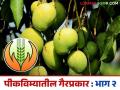 Pik Vima Yojana : नुसता कांद्यांचाच नाही तर फळपीकविम्यातही गोंधळ, जाणून घ्या सविस्तर  - Marathi News | Latest News Pik Vima Yojana Confusion not only in onions but also in fruit crop insurance, know in detail | Latest agriculture News at Lokmat.com