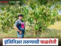 Farmer Success Story : बीई मेकॅनिकल तरुणाला ऐनवेळी कंपनी विकावी लागली, आता सहा एकरावर यशस्वी फळशेती! - Marathi News | Latest News Farmer Success story production of five to six lakh rupees by fruit farming to be mechanical farmer | Latest agriculture News at Lokmat.com