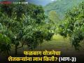 Falbaga Yojana : फळबाग लागवड गती मंद; उद्दिष्ट यंदा पूर्ण होणार का? वाचा सविस्तर - Marathi News | latest news Falbaga Yojana: Fruit plantation slow; Will the target be met this year? Read in detail | Latest agriculture News at Lokmat.com