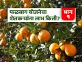 Falbaga Yojana: फळबाग योजनेचा गोडवा; शेतकऱ्यांच्या खात्यात थेट ३५० कोटी! वाचा सविस्तर - Marathi News | latest news Falbaga Yojana: The sweetness of the Falbaga Yojana; 350 crores directly in the account of farmers! Read in detail | Latest agriculture News at Lokmat.com