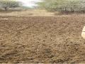 गायरानवरील अतिक्रमणे होणार नियमित; हजारो ग्रामस्थांना मिळाला दिलासा - Marathi News | There will be regulasation of encroachments on Gairan; Thousands of villagers get relief | Latest chhatrapati-sambhajinagar News at Lokmat.com