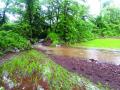 शेतीचे पंचनामे रखडले; सरकारी यंत्रणेत समन्वयाचा अभाव - Marathi News | Farming stops; Lack of coordination with government machinery | Latest raigad News at Lokmat.com