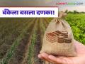 Pik Vima : शेतकऱ्याला न्याय मिळाला… पण कसा? वाचा प्रकरण सविस्तर - Marathi News | latest news Pik Vima: The farmer got justice… but how? Read the case in detail | Latest agriculture News at Lokmat.com