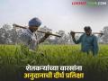 Shetkari Apghat Yojana: 'या' जिल्ह्यात २२३ अपघातग्रस्त शेतकऱ्यांच्या वारसांना आर्थिक मदत कधी मिळणार? वाचा सविस्तर - Marathi News | latest news Shetkari Apghat Yojana: When will the heirs of 223 accident-affected farmers in 'this' district get financial assistance? Read in detail | Latest agriculture News at Lokmat.com