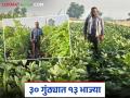 एमटेक झालेल्या युवा शेतकरी अक्षयने ३० गुंठ्यात केली १३ प्रकारच्या भाज्यांची शेती; व्हॉट्सअॅप ग्रुपवरून होतेय विक्री - Marathi News | Young farmer Akshay, who completed MTech, cultivates 13 types of vegetables in 30 guntas; Sales are being done through WhatsApp group | Latest agriculture News at Lokmat.com