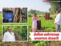 ३० एकरांची शेती केवळ वावर न ठेवता बनवली कृषी प्रयोगशाळा; वाचा प्रयोगशील बाळासाहेबांची यशकथा - Marathi News | 30 acres of farm turned into an agricultural laboratory; Read the success story of experimental Balasaheb | Latest agriculture News at Lokmat.com
