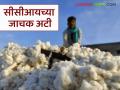 Kapus Kharedi : कापूस खरेदीची 'ही' अट देशभर जिल्हानिहाय वेगवेगळी, खरेदी कशी होईल?  - Marathi News | Latest News Kapus Kharedi condition for purchasing cotton varies from district to district across country | Latest agriculture News at Lokmat.com