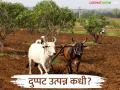 शेतकऱ्यांचे उत्पन्न दुप्पट होणार पण कधी? काय म्हणता आहेत तज्ञ; वाचा सविस्तर - Marathi News | Farmers income will double, but when? What do experts say; Read in detail | Latest agriculture News at Lokmat.com