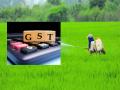 ‘जीएसटी’मुळे उत्पादन खर्चात हेक्टरी १५ हजार वाढ - Marathi News | GST increases production costs by Rs 15,000 per hectare | Latest kolhapur News at Lokmat.com
