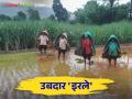 पावसात बचावासाठी इरलंच पडतंय सगळ्यात भारी - Marathi News | Irale Bamboo Structure protection from rain is very helpful to framers | Latest agriculture News at Lokmat.com