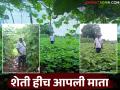 Farmer Success Story : आधी भाडेतत्त्वावर केली शेती; आता झाले कृषी व्यवस्थापनातील गुरू - Marathi News | Farmer Success Story: First he did farming on lease; now he has become a guru in agricultural management | Latest agriculture News at Lokmat.com