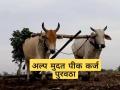 शेतकऱ्यांना एक टक्का व्याजदराने कर्ज, शासनाकडून निधी वाटपास मंजुरी  - Marathi News | Latest News Loans to farmers at one percent interest rate, approval of funds transfer | Latest agriculture News at Lokmat.com