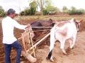 पावसाने ओढ दिल्याने पेरण्या खोळंबल्या - Marathi News |  Due to rain pouring sown sowing | Latest nashik News at Lokmat.com