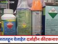 गुजरातहून येताहेत दर्जाहीन कीटकनाशके; शेतकऱ्यांकडून बिनधास्तपणे सुरू आहे खरेदी तर औषधांच्या गुणवत्तेवर प्रश्नचिन्ह - Marathi News | | Latest agriculture News at Lokmat.com