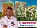 २५ एकर मुरमाड जमिनीत स्वत:चे भाग्य स्वत: उजळवणारा शेतकरी अर्जुन पाटेखेडे; वाचा त्यांची यशकथा - Marathi News | Farmer Arjun Patekhede, who made his own fortune on 25 acres of barren land; Read his success story | Latest agriculture News at Lokmat.com