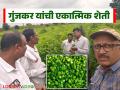 Farmer Success Story : एकात्मिक शेतीतून श्रीधर गुंजकर यांची यशस्वी वाटचाल; सेंद्रियता, नवोपक्रम आणि नफा - Marathi News | latest news Farmer Success Story : Shridhar Gunjkar's successful journey through integrated farming: Organicity, innovation and profit | Latest agriculture News at Lokmat.com