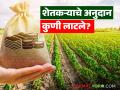 Farmer Subsidy Scam : शेतकऱ्याचे अनुदान गायब; काय आहे प्रकरण वाचा सविस्तर - Marathi News | latest news Farmer Subsidy Scam: Farmer's subsidy disappeared; Read the case in detail | Latest agriculture News at Lokmat.com