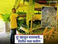 Farmer Success Story : नैराश्याला हरवून… खोपडी गावच्या रामने शेतीत लिहिली नवी यशोगाथा - Marathi News | latest news Farmer Success Story: Overcoming depression… Ram of Khopadi village writes a new success story in farming | Latest agriculture News at Lokmat.com