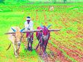 भोजापूरला पूरपाणी सोडणार - Marathi News | Flooding will leave Bhojpur | Latest nashik News at Lokmat.com