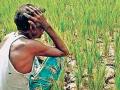 ८३ टक्के शेतकऱ्यांना मदतीची प्रतीक्षा - Marathi News | 83% farmers waiting for help | Latest buldhana News at Lokmat.com