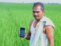 सिंधुदुर्गातील ३१५ शेतकऱ्यांना लागली लॉटरी - Marathi News | 315 farmers in Sindhudurg won the lottery | Latest sindhudurga News at Lokmat.com