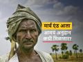Farmer Subsidy : आठवड्यात कृषीचे 50 जीआर निघाले, पण शेतकऱ्यांना अनुदानाचे पैसे नाही मिळाले! - Marathi News | Latest News Farmers who benefited from agricultural scheme have no subsidy even after a yearin a week, but the farmers did not get the subsidy money! | Latest agriculture News at Lokmat.com