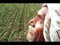 निवडणुकीच्या धामधुमीत शेतकऱ्यांच्या प्रश्नांकडे डोळेझाक! - Marathi News | Farmers' questions neglected in the process of elections! | Latest akola News at Lokmat.com