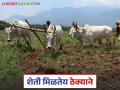 खर्च परवडेना, मजूर मिळेना; शेती ठेक्याने देण्याकडे वाढतोय शेतकऱ्यांचा कल - Marathi News | Unable to afford expenses, unable to find labor; farmers are increasingly inclined to contract farming | Latest agriculture News at Lokmat.com